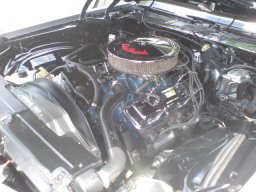 Big Bumper Meet 2008